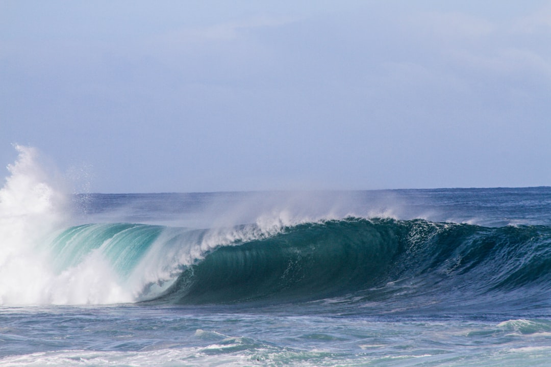 Unlocking the Secrets of Ocean Soundscapes with Sonic Technology